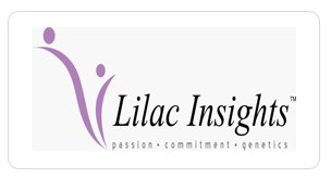 Screenshot 2025-11-14 173434